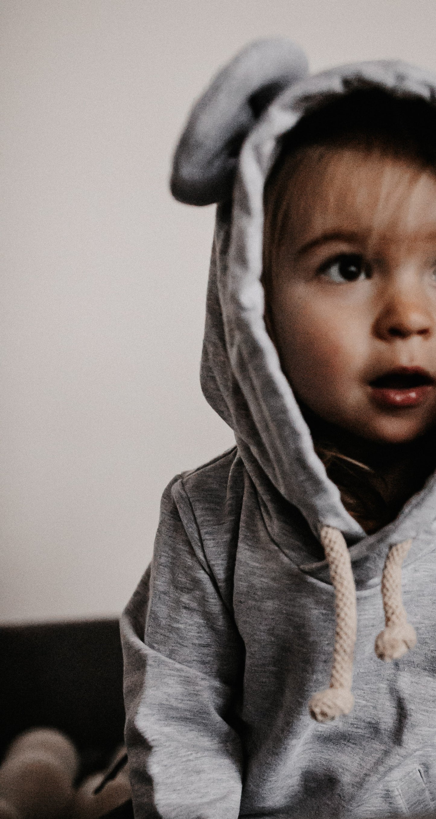 Maus Hood *Grey*